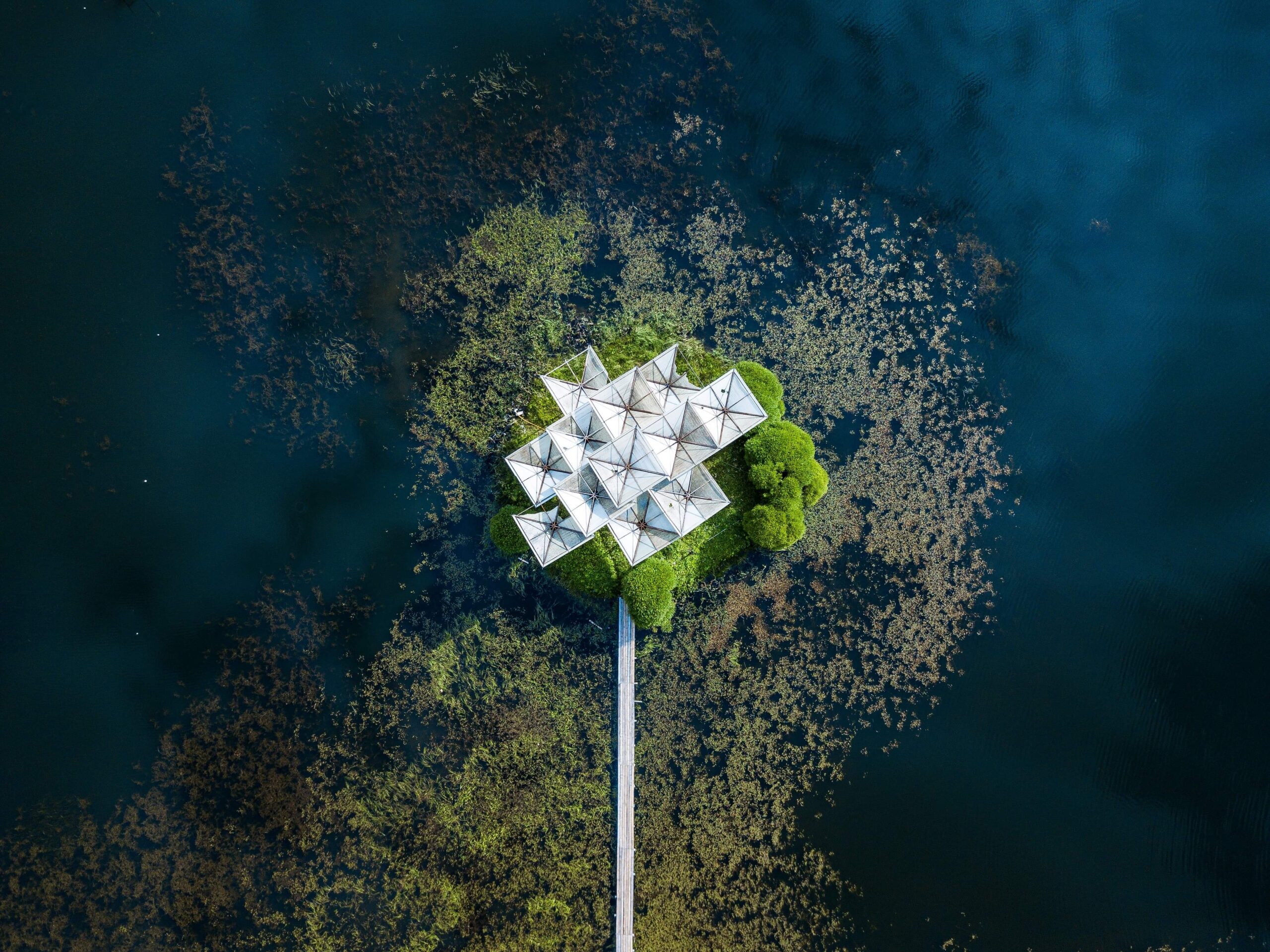 IMG_20190807_173159_617